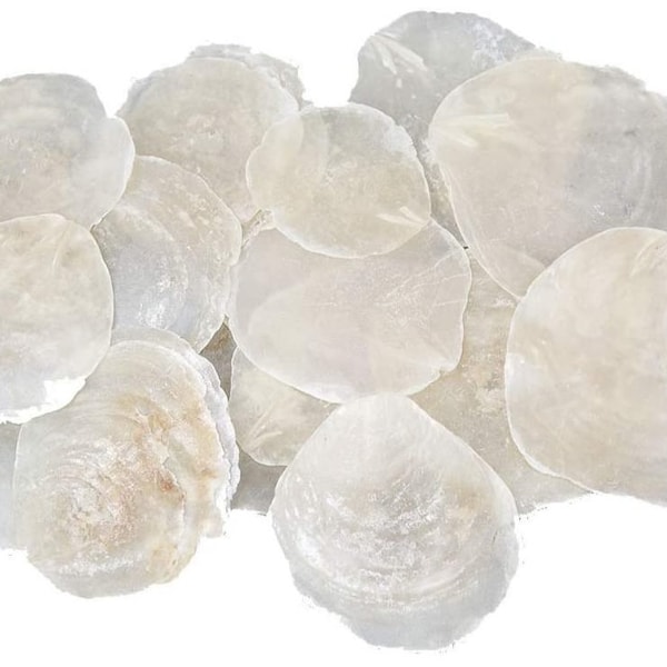 25 STK Perlmutt Scheiben Capiz Perlmuttscheiben Natur Weiss 7-11cm TISCHKARTEN Namenskarten Muschelscheiben runde Perlmuttplatten Maritime