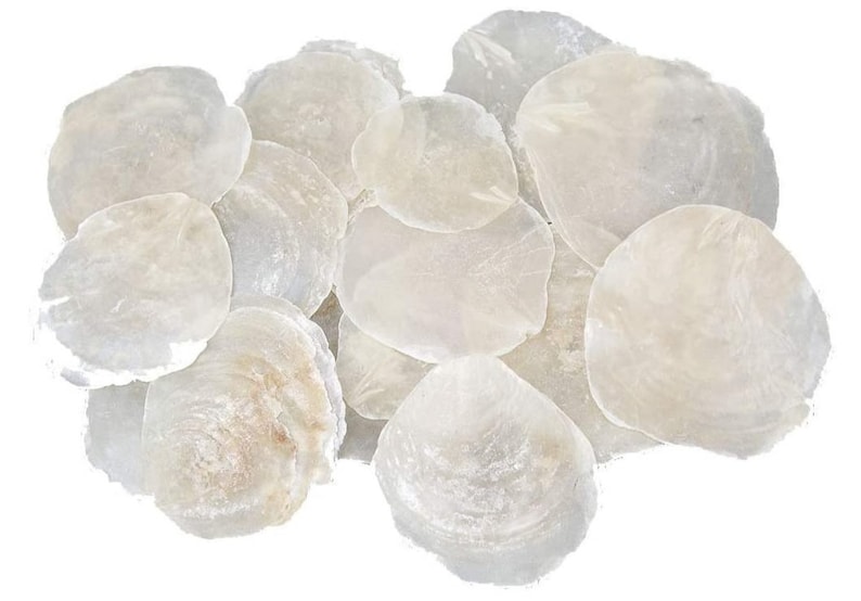 25 PCS Mother of Pearl Discs Capiz Mother of Pearl Discs Natural White 7-11 cm PLACE CARDS Name Cards Shell Discs Round Mother of Pearl Plates Maritime image 1