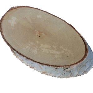 Wooden disc 20x10x2cm OVAL wooden discs crafting coaster base wooden disc oval birch disc natural decoration discs made of wood