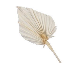 7 pcs palm spear cream bleached natural decoration 30 cm dry decoration o080 arrangement autumn decoration flowers dried flowers wedding decoration fans palm spears