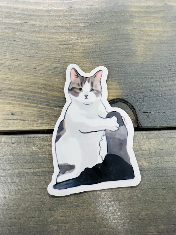 Cute stickers with boys and girls dressed as a cat