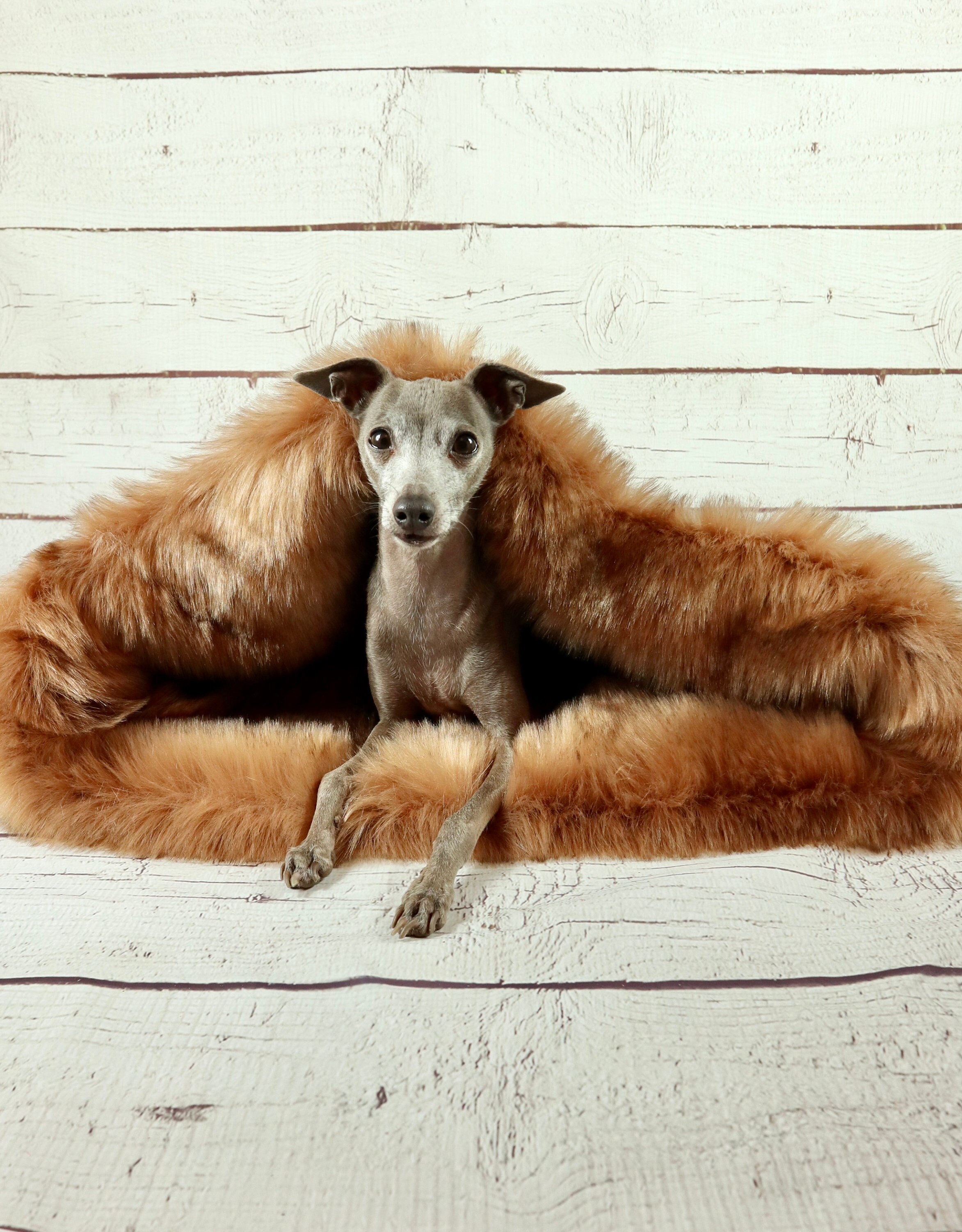 Kuschelhöhle Höhle Hund Höhle Windhund Hundebett Luxus Etsy