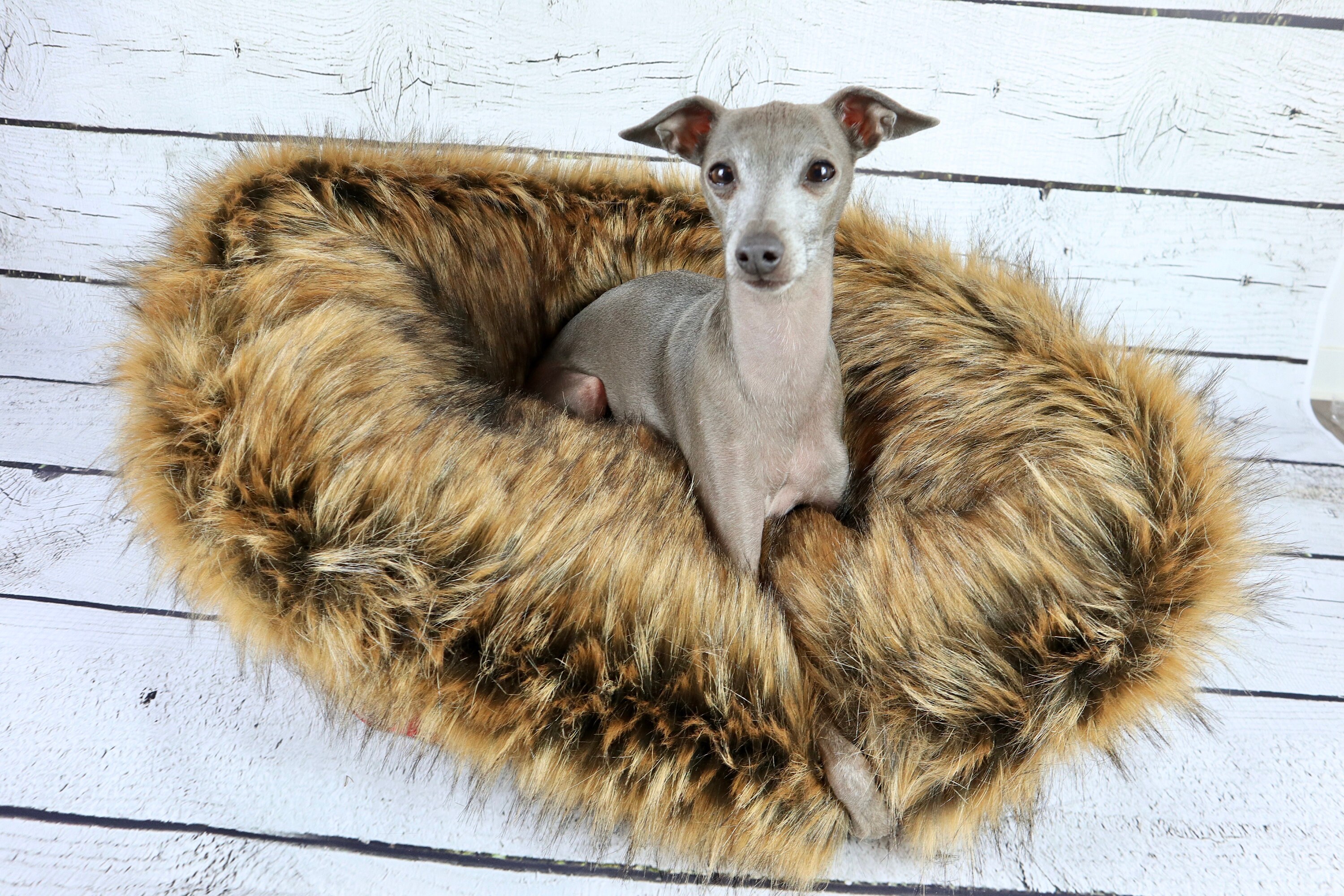 Cave greyhound dog bed dog blanket greyhound bed greyhound Etsy