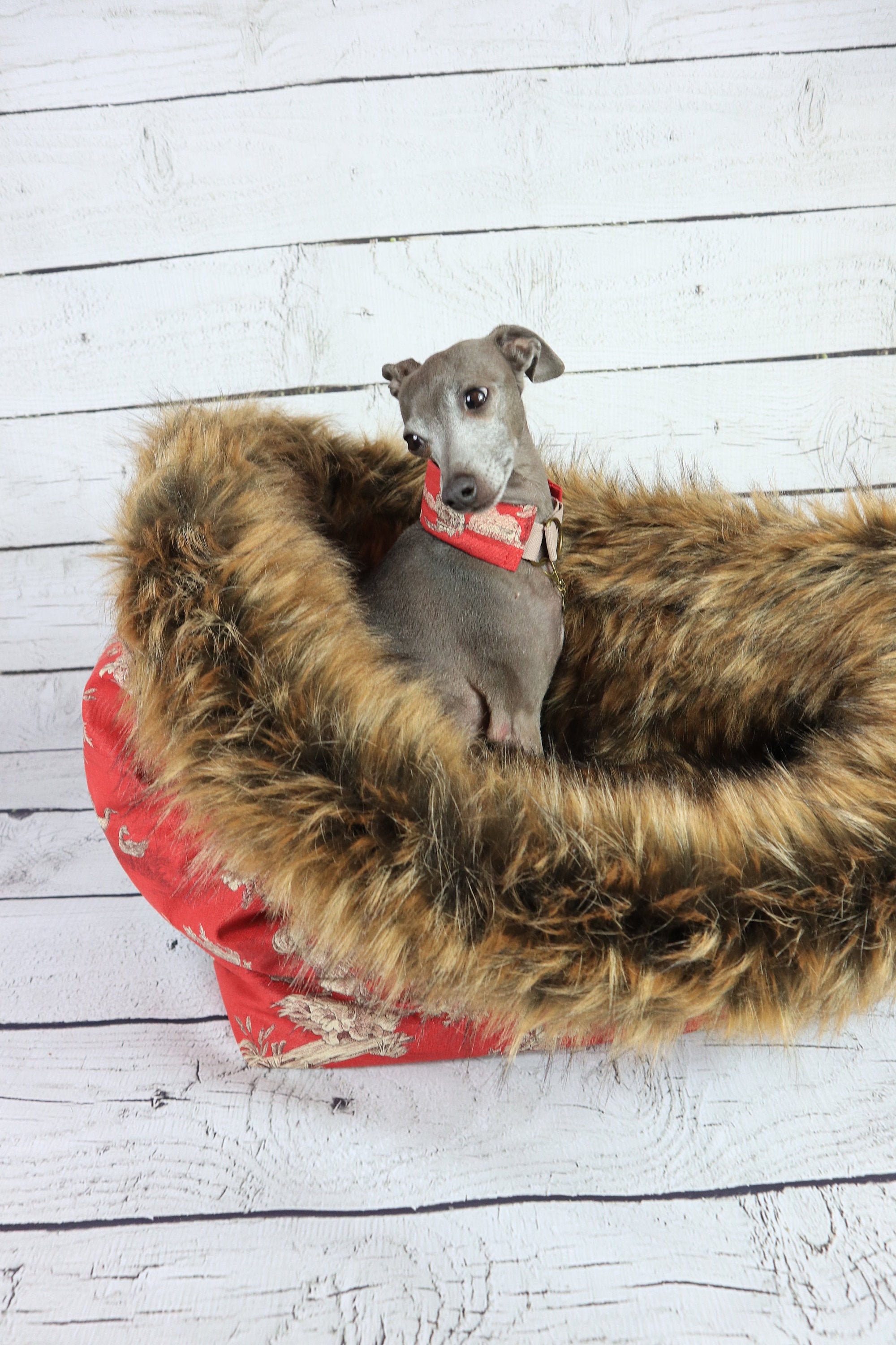 Cave greyhound dog bed dog blanket greyhound bed greyhound Etsy