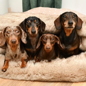 Cosy cave, Cave dog, Cave greyhound, Dog bed luxury, Dog blanket fur, Greyhound cave