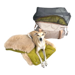 Flugtasche Hund Reise