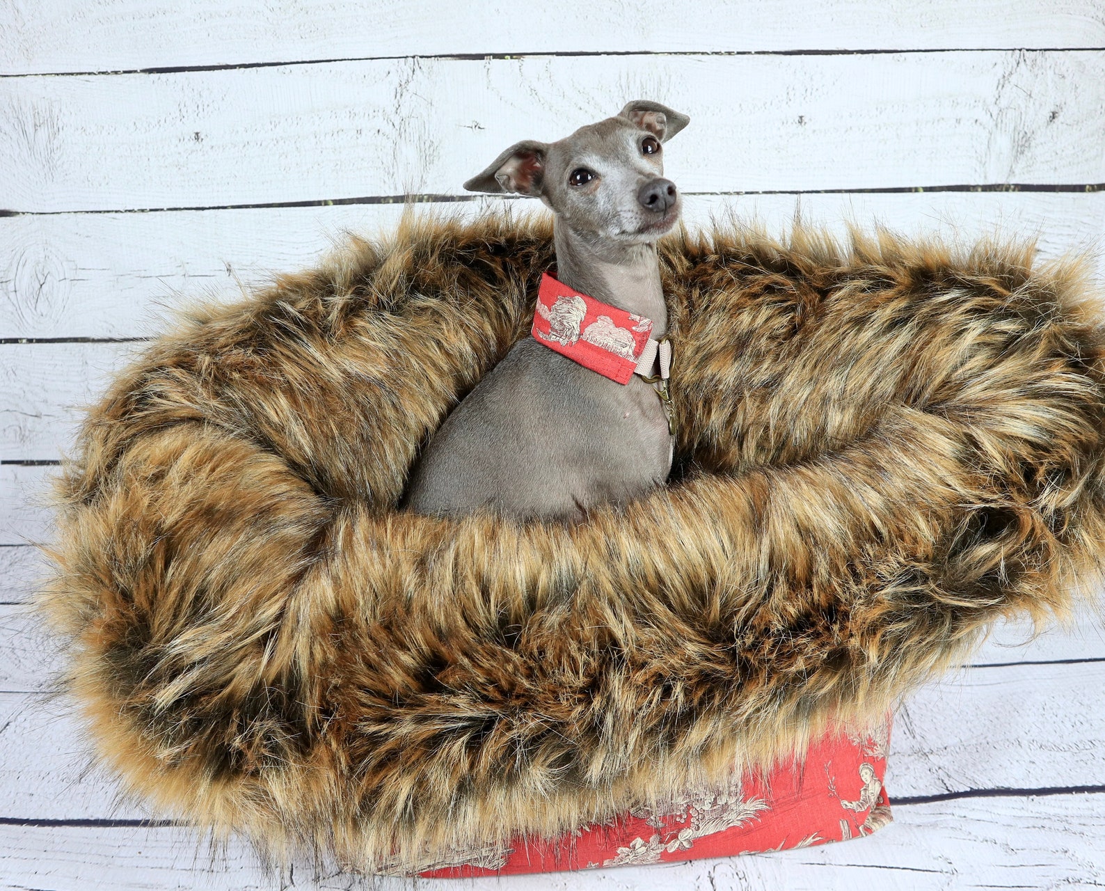 Cave greyhound dog bed dog blanket greyhound bed greyhound Etsy