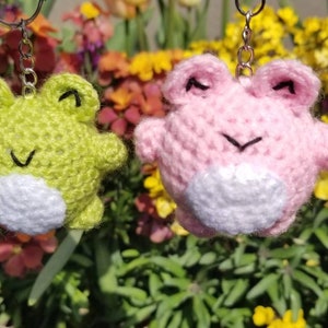 May include: Two crocheted frog keychains, one green and one pink, with white accents. The keychains are hanging from a flower pot.
