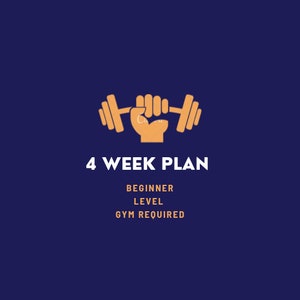 4 Week Fitness Plan (Beginner)