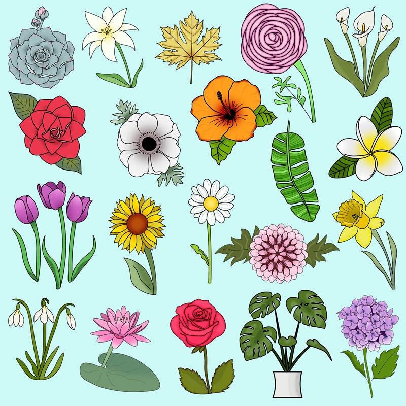 Flower Doodle Tutorials Floral Step By Step Doodles Learn Etsy