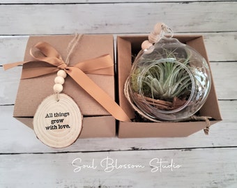 Air plant Ornament Gift, Christmas air plant ornament, Thinking of you Gift Box,  Air plant terrarium Gift Box, little air plant