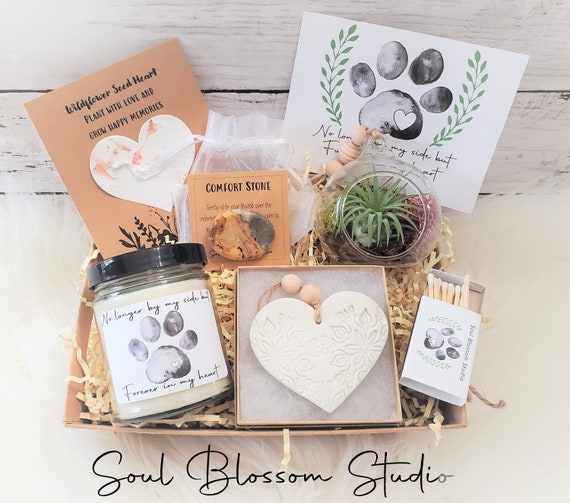 Pet Loss Sympathy Gift Box Sending love and strength, Deepest sympathy, sending you a hug, Sorry for your loss, Grieving a family pet.