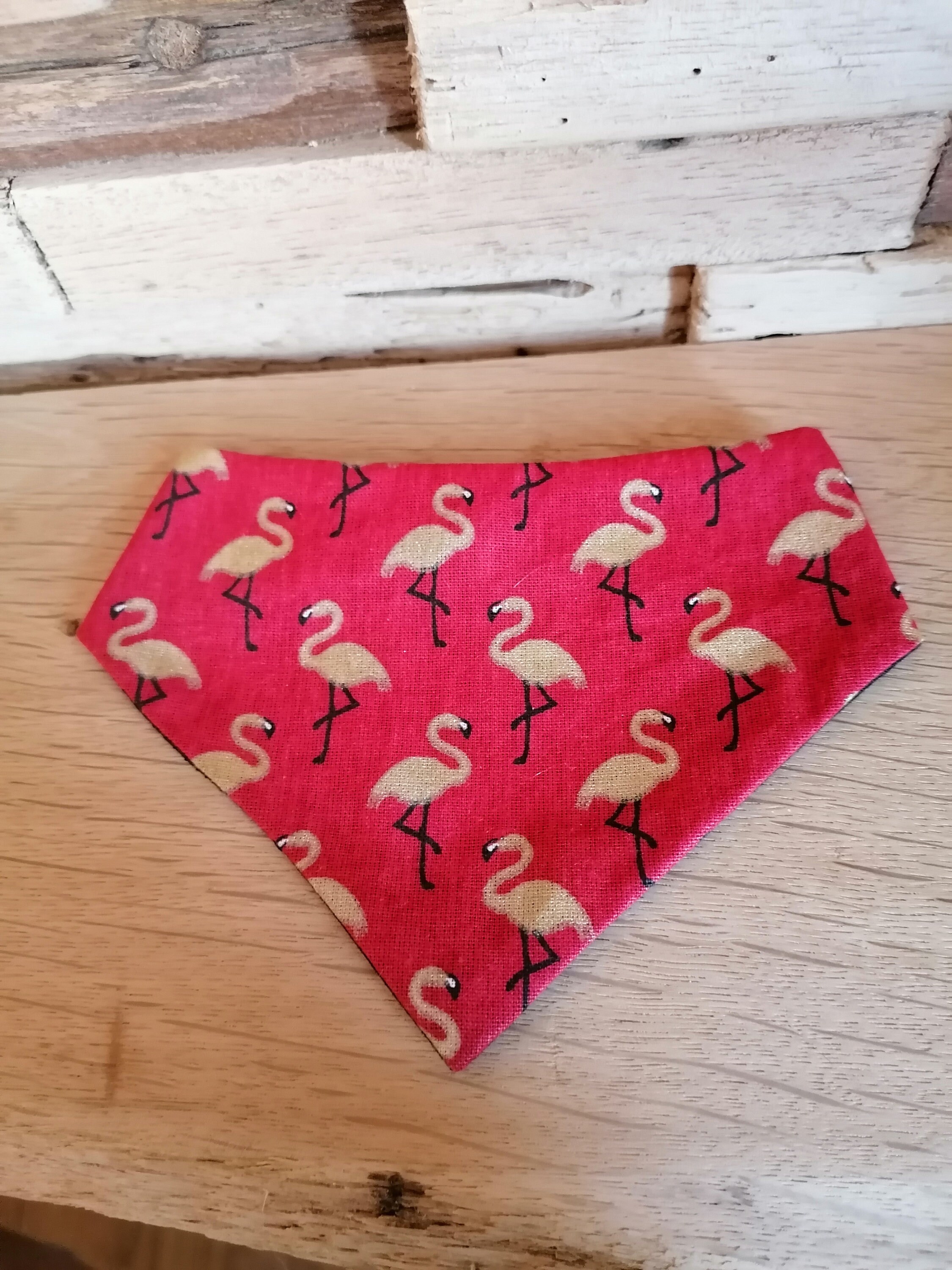 Bandana Chat Birdy Édition Limitée