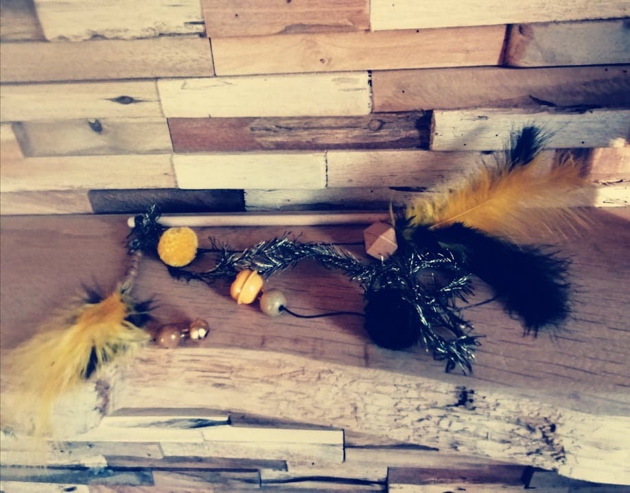 Canne à Pêche Chat Edition Limitée Electric 