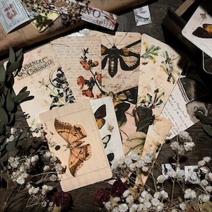 Jeu de cartes vintage Encyclopédie Étiquettes papillons Étiquettes de livres Marque-pages nature Fleurs Corbeille Journal Timbres-poste Étiquettes cadeaux Éphémères Éclectique