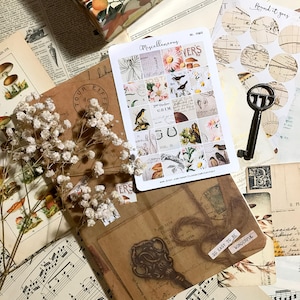 Puede incluir: Una hoja de pegatinas de estilo vintage con ilustraciones de p&aacute;jaros, flores y otros dise&ntilde;os inspirados en la naturaleza. Las pegatinas est&aacute;n impresas en papel blanco con un acento de l&aacute;mina dorada. La hoja incluye el texto "Miscellaneous", "3rd Order GRIM", y "VOL. II".