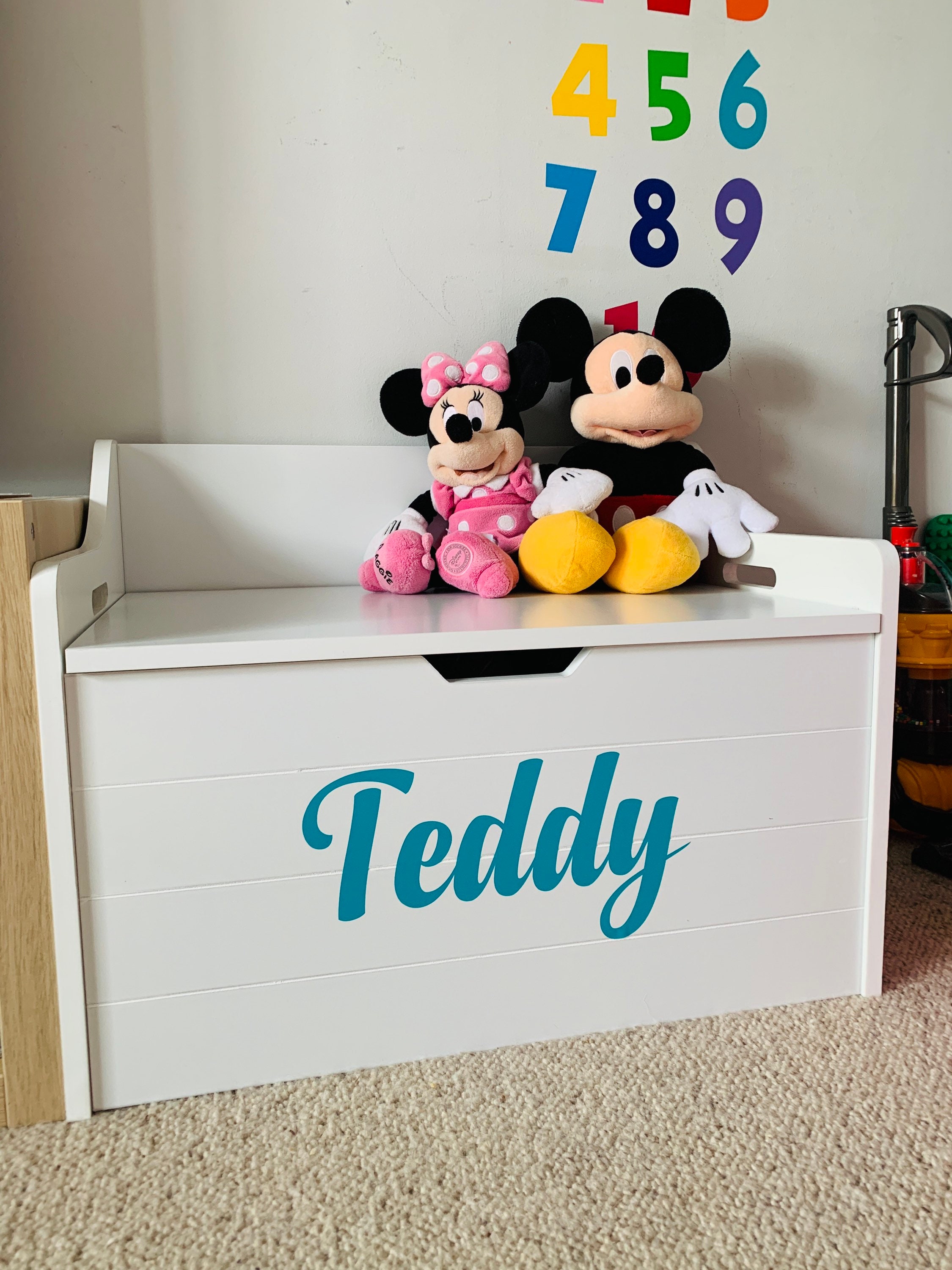 Toy Box Name Labels | Toy Box Stickers | Toy Box Name Decal | Custom Made Vinyl Labels | Self-Adhesive Personalised Labels