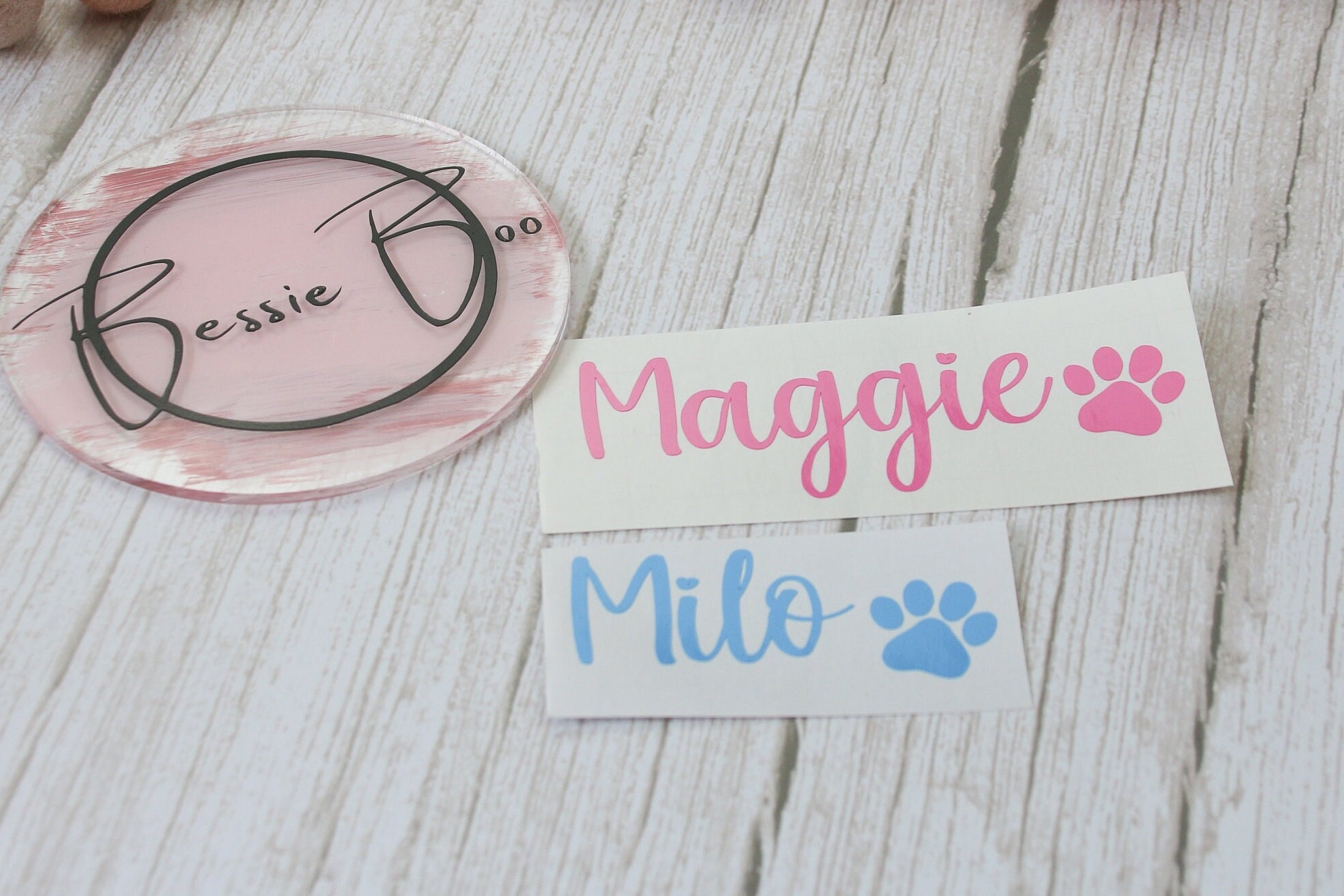 Pets - Dog Treats Label | Dog Treats Decal | Dog Food Label | Pet labels| Custom Made Vinyl Labels | Self-Adhesive Personalised Labels
