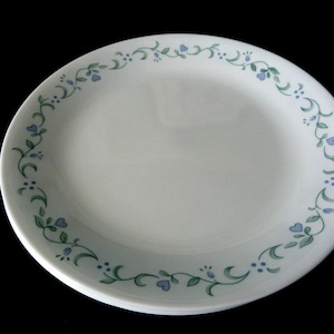 May include: White ceramic plates with a delicate floral design. The plates feature a border of green vines, blue heart-shaped flowers, and small blue dots. The plates are stacked, with a black background.