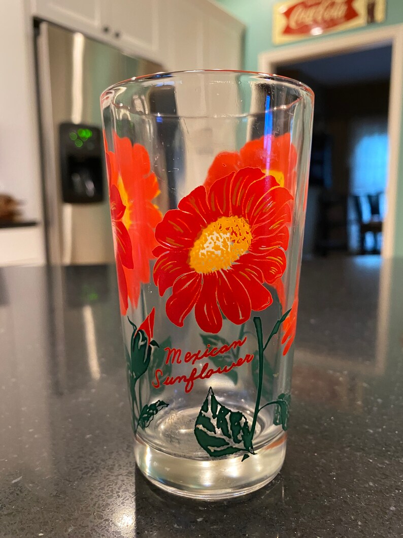 Your Choice 1950's Boscul Peanut Butter Glasses 6 Etsy