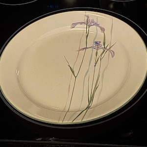 Corelle Shadow Iris Pattern - Your Choice- Shadow Iris Dinner Plates, Bread Plate, Shadow Iris Cereal/Soup Bowls- Sold Individually    #8076