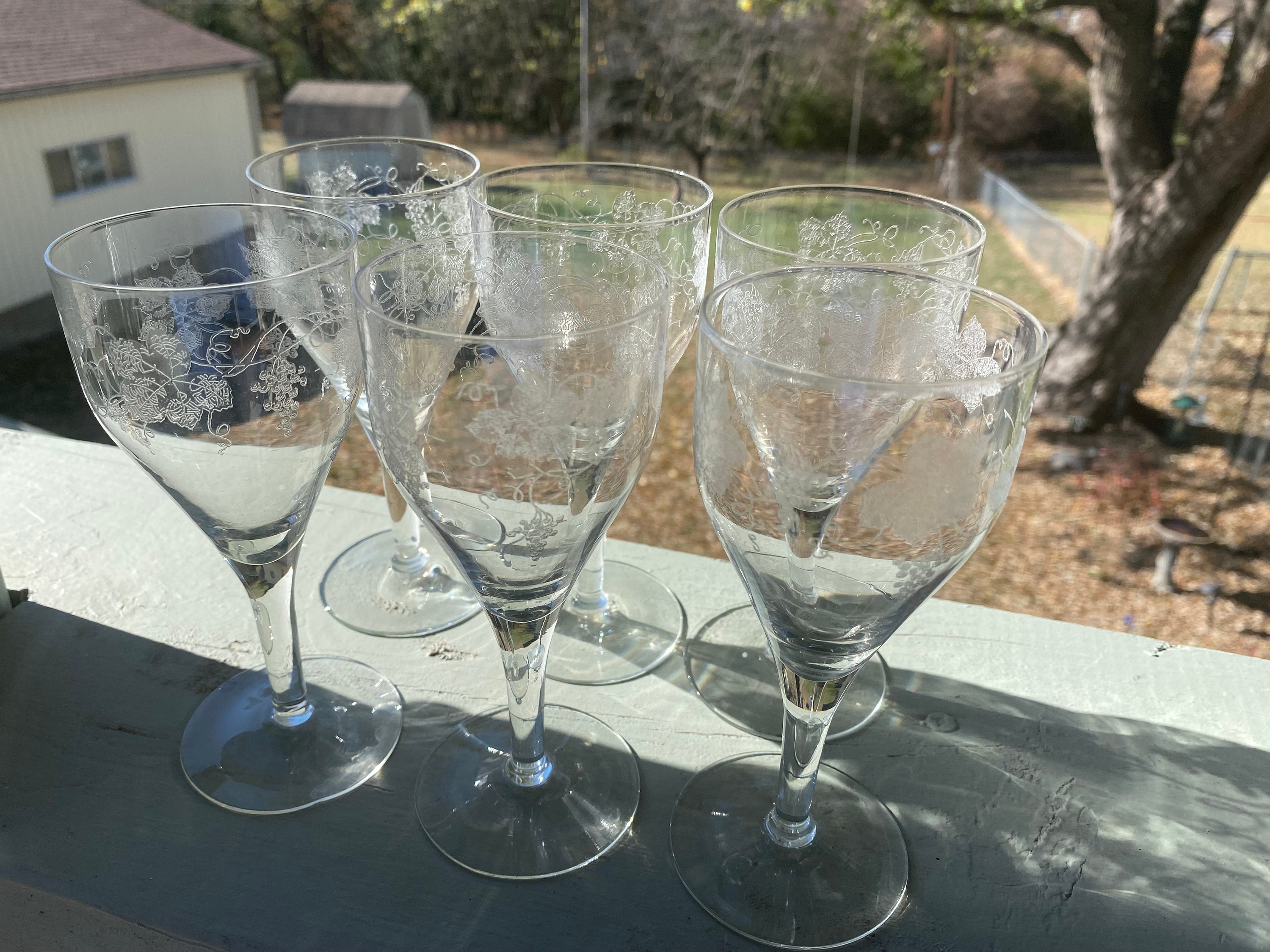 Crystal Glass Etched Wine Glasses Set of 6 Grape Leaf Etsy