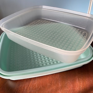 May include: Two square, plastic food storage containers. One is a light green color, and the other is clear. The containers have a textured, grid-like pattern on the bottom. The clear container is on top of the green container.