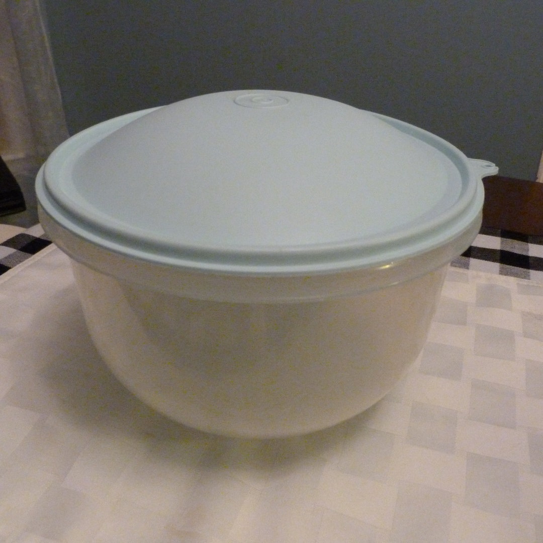 Tupperware Lettuce Keeper, Tupperware 1424, Tupperware Mint 7519 Etsy