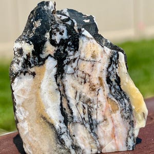 May include: A natural stone specimen with a striking pattern of black, white, tan, and yellow hues. The rock's surface displays a mix of textures and colors, creating a unique and organic aesthetic. This decorative stone is ideal for collectors.
