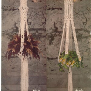 May include: Two white macrame plant hangers with different designs. The one on the left is called "Celeste" and the one on the right is called "Angelet".