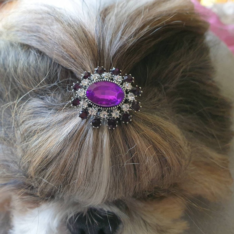 Rhinestone With Rubber Bands. Top Knot for Dogs. Etsy