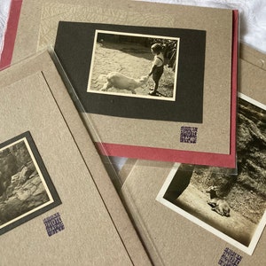 Grußkarte, vintage Ziege, Ziegenbock, Original Foto, antik, Kunst, Kollage, Mixed Media, alte Postkarte, Fotografie