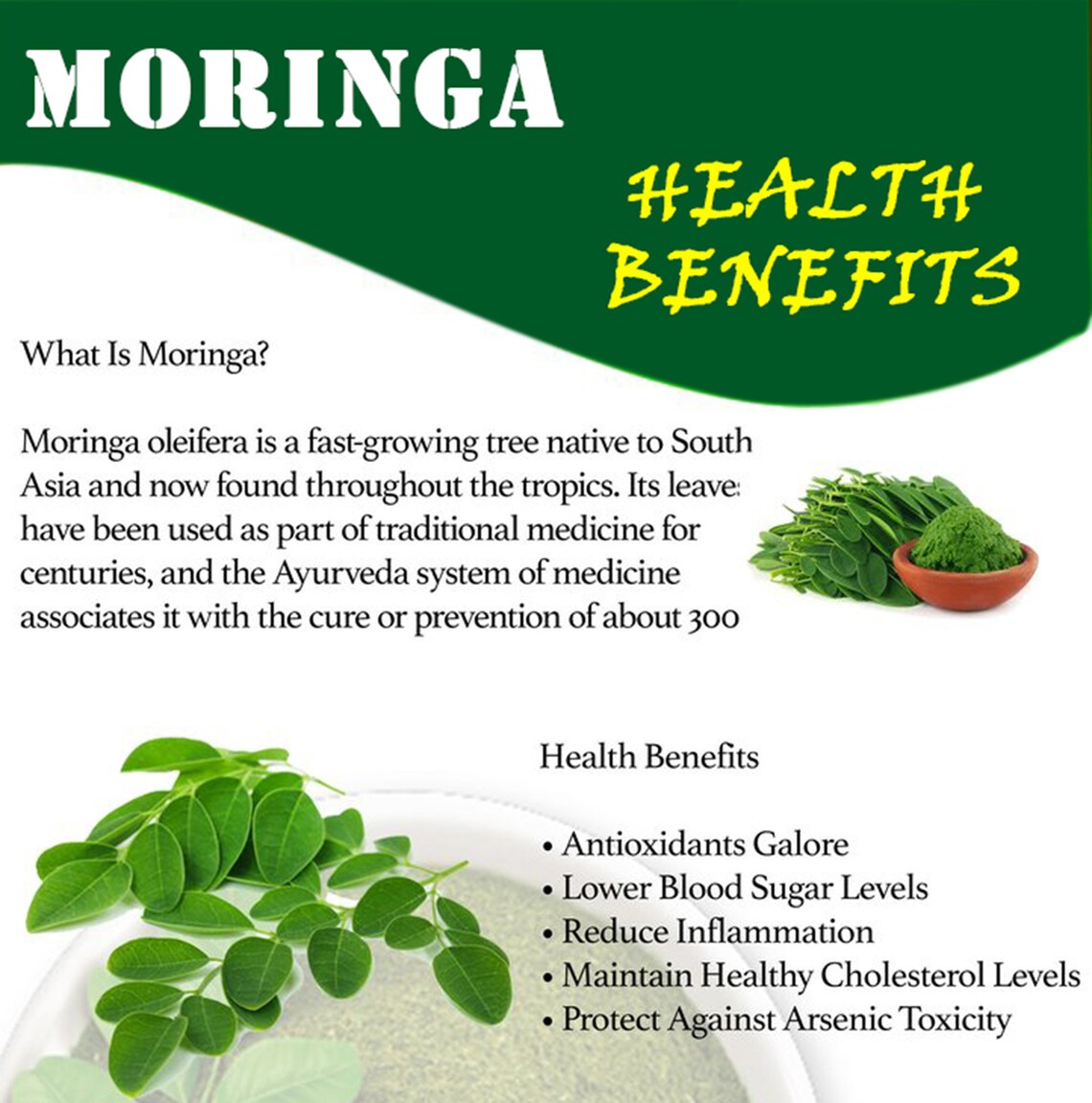 Moringa Capsules Oleifera Leaf Pure Organic Powder 100 Etsy