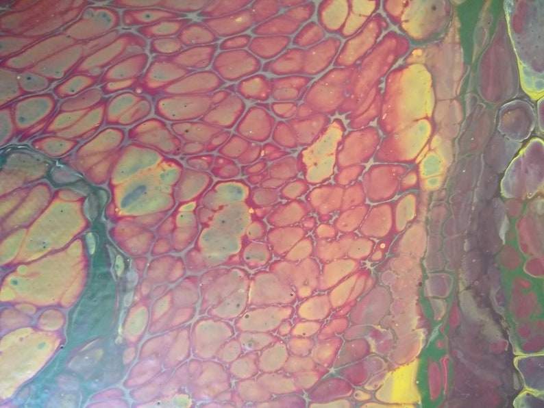 Dinosaur Skin Paint Pour