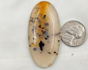 May include: An oval gemstone with a polished surface. The stone has a creamy white base with orange and black inclusions. A U.S. nickel coin is placed next to the stone for size comparison.