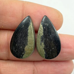 Pode incluir: Duas pedras preciosas em forma de gota. Cada pedra tem um padrão preto estriado com uma faixa central de pirita dourada. As pedras são seguradas em uma mão contra um fundo branco.