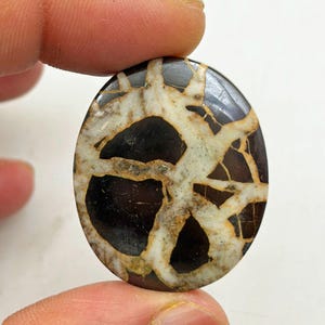 AAA Septarian Cabochon - Polished Dragon Stone for Pendants - Natural Fossil Gemstone - Calibrated Flatback for Bezel Setting