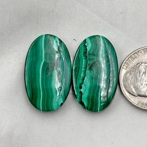 May include: Two oval-shaped malachite stones with a vibrant green color and unique swirling patterns. The stones are displayed next to a US quarter for size comparison. The malachite has dark green and black veining.