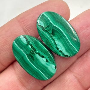 May include: Two polished oval malachite gemstones. The gemstones are a vibrant green with darker green, swirling patterns. The stones are held in a hand, showcasing their natural beauty and unique veining.