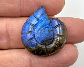 May include: A blue and black labradorite gemstone carved into the shape of a nautilus shell. The gemstone has an iridescent sheen.