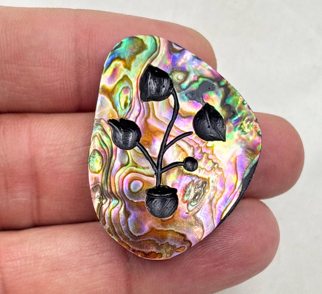 Abalone Shell, Natural Abalone Shell Gemstone for Making Jewelry ...