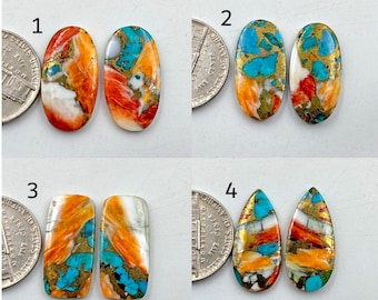 Oyster copper turquoise Pair gemstone Cabochon lot loose stone matching  pair semi precious lot jewelry making Oyster copper turquoise Pair