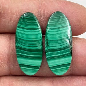 MALACHITE Paar Cabochon Edelstein, natürliche Malachit Paar Cabochon Für handgemachte Schmuckherstellung Lieferungen