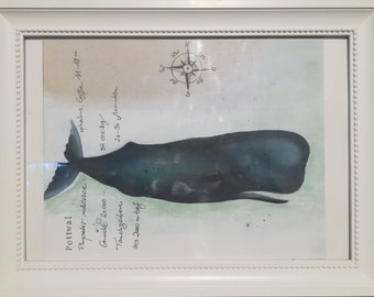 Pottwal Print Etsy