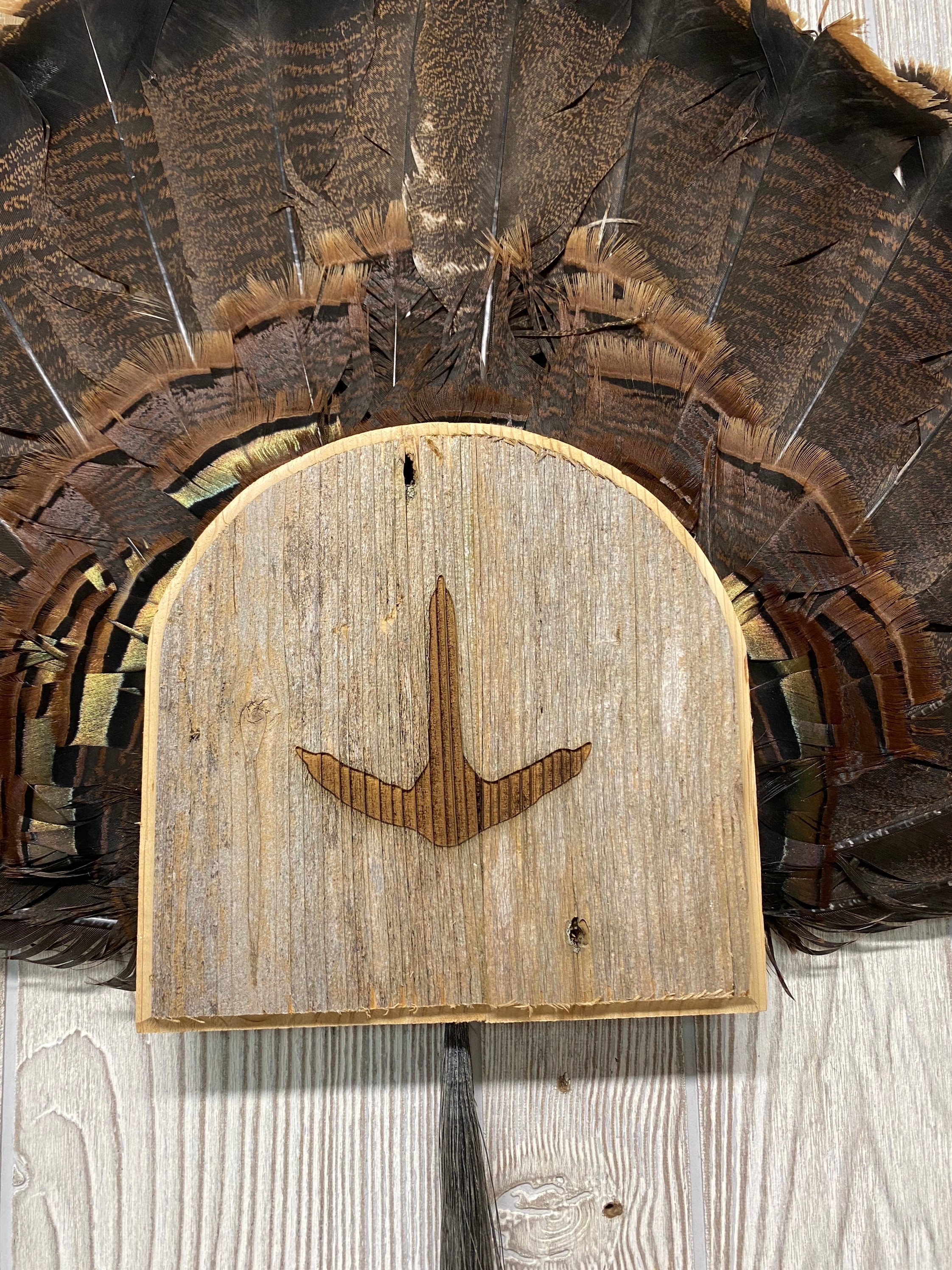 Turkey Call Display Rack Turkey Mount Display - Etsy