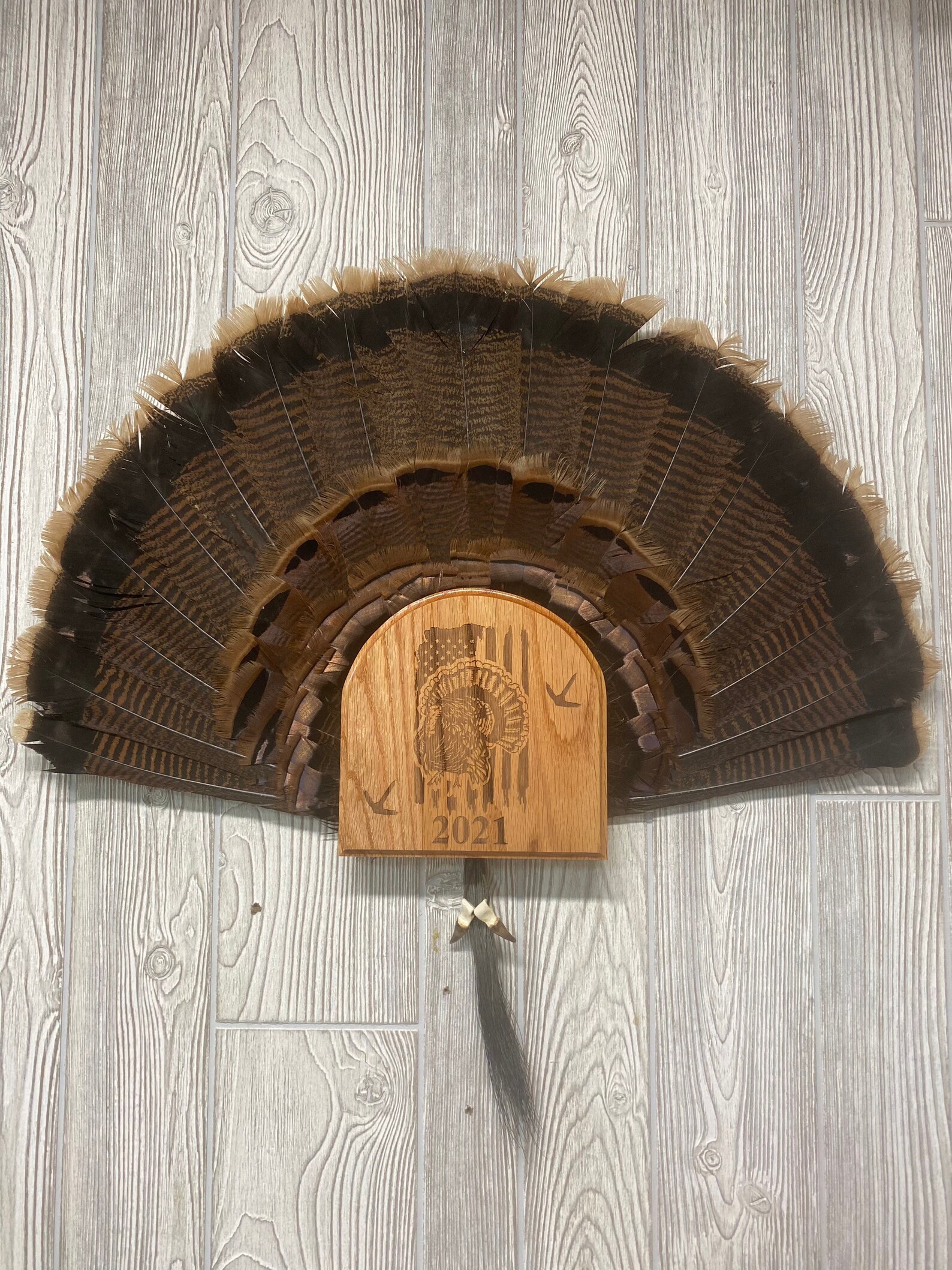 Turkey fan and beard display plaque Etsy