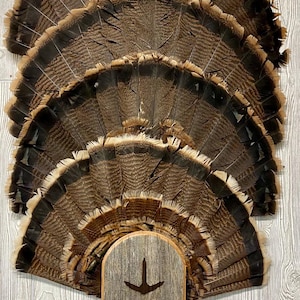May include: A turkey fan mount with a rustic wooden base featuring a carved anchor. The fan is made of brown and black feathers.