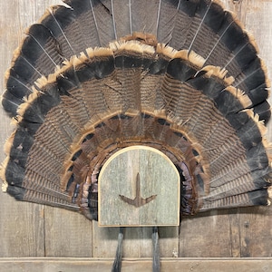 May include: A mounted turkey fan display. The fan features a semi-circular arrangement of brown, black, and tan feathers. A wooden plaque with a carved design is attached to the base of the fan, with two long, dark tail feathers hanging below.