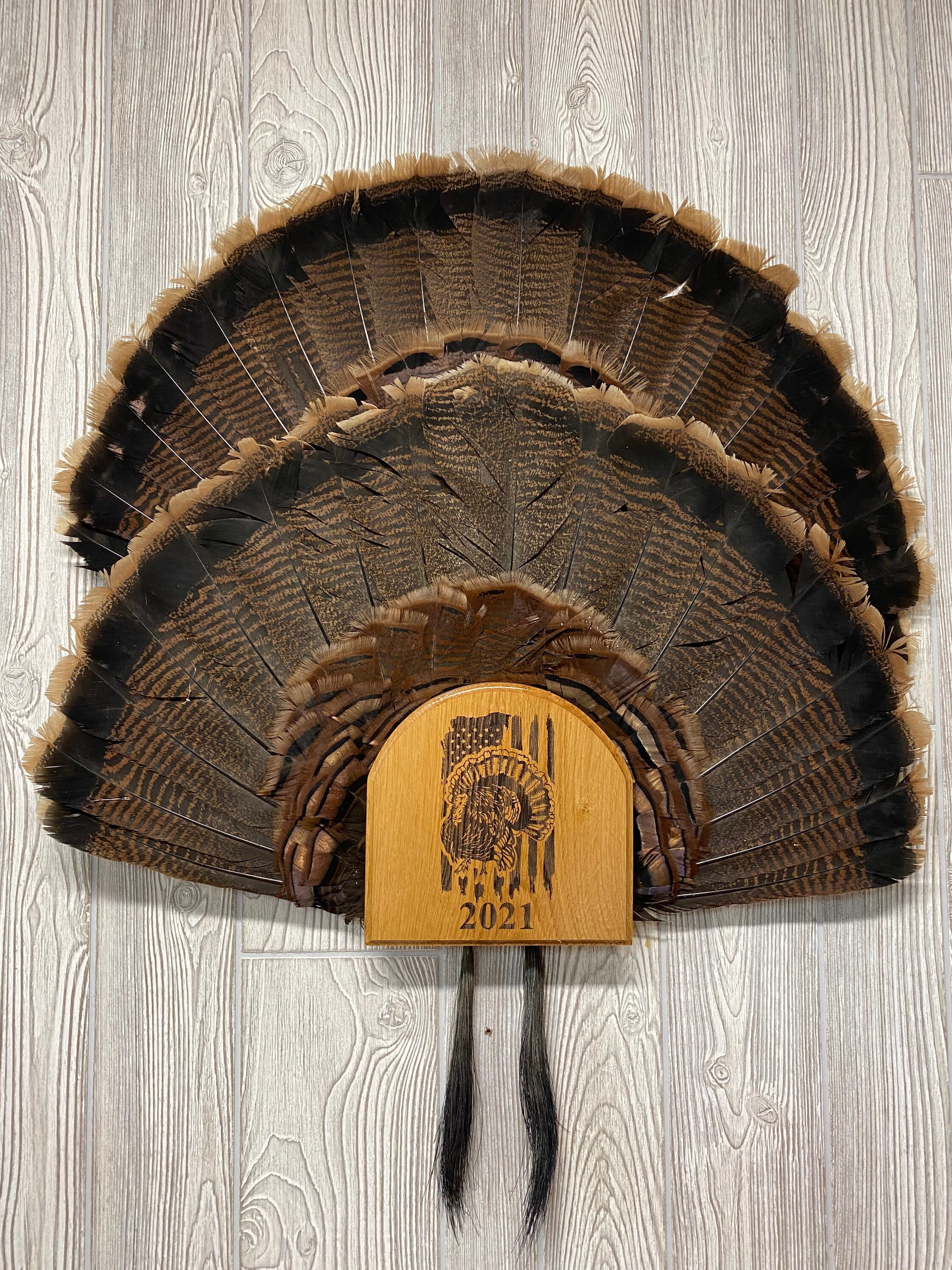 Turkey fan and beard display plaque Etsy