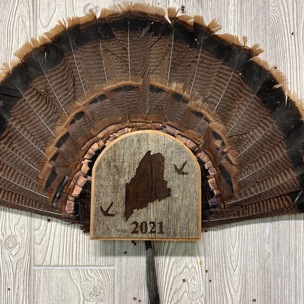 Turkey Fan Mount Etsy